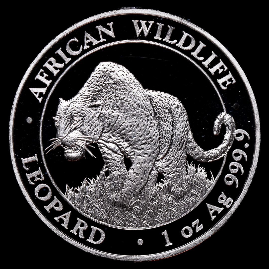 100 Shillings Leopard African Wildlife 2023 Somalí