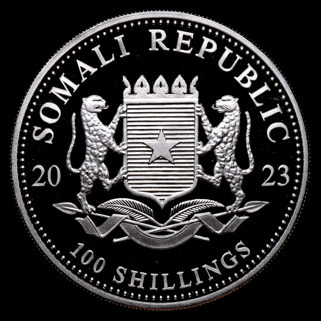100 Shillings Leopard African Wildlife 2023 Somalí