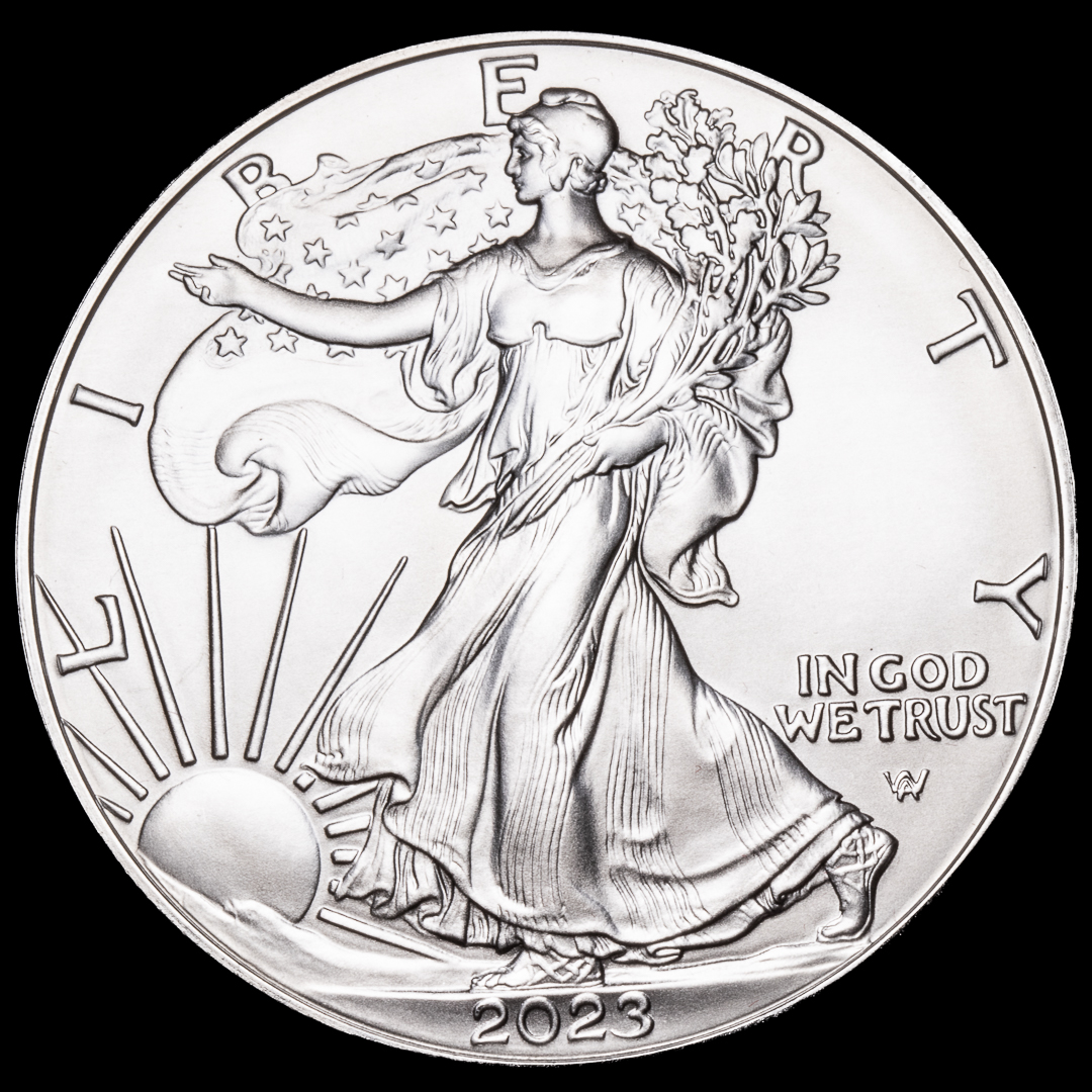 1 Dollar de Estados Unidos Liberty 2023